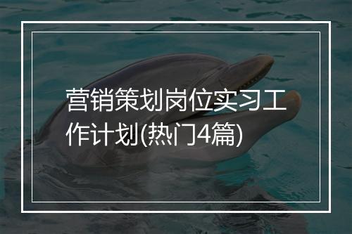 营销策划岗位实习工作计划(热门4篇)