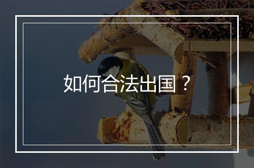 如何合法出国？