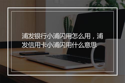 浦发银行小浦闪用怎么用，浦发信用卡小浦闪用什么意思