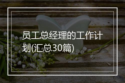 员工总经理的工作计划(汇总30篇)