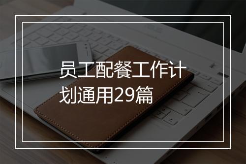 员工配餐工作计划通用29篇