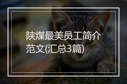 陕煤最美员工简介范文(汇总3篇)