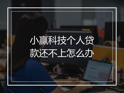 小赢科技个人贷款还不上怎么办