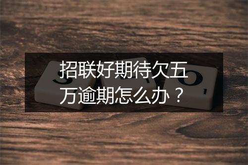 招联好期待欠五万逾期怎么办？