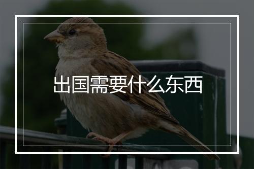 出国需要什么东西