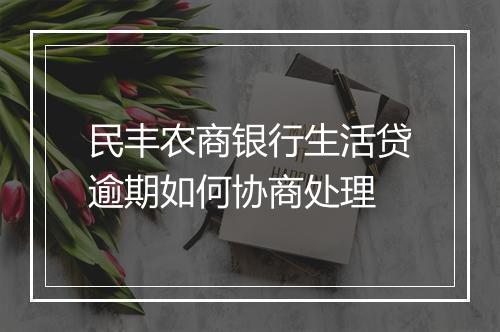 民丰农商银行生活贷逾期如何协商处理