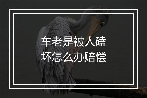 车老是被人磕坏怎么办赔偿