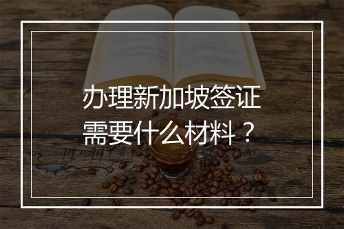 办理新加坡签证需要什么材料？