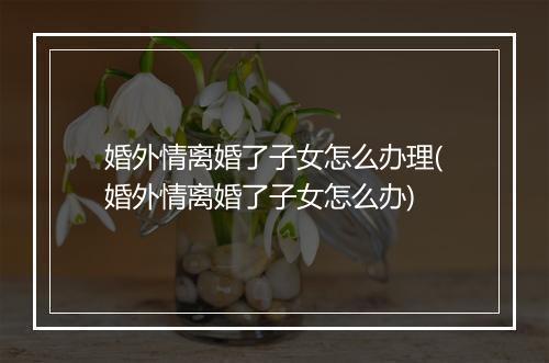 婚外情离婚了子女怎么办理(婚外情离婚了子女怎么办)