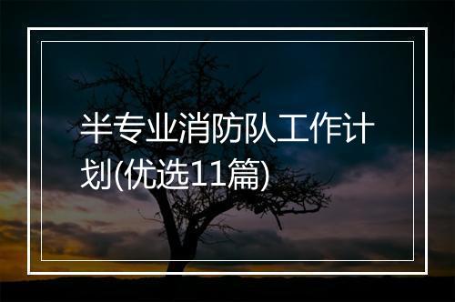 半专业消防队工作计划(优选11篇)