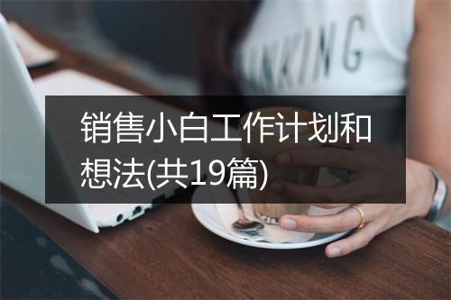 销售小白工作计划和想法(共19篇)