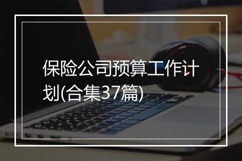 保险公司预算工作计划(合集37篇)
