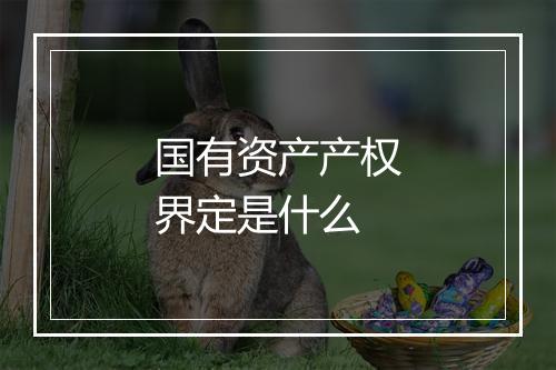 国有资产产权界定是什么