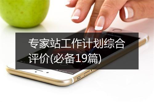 专家站工作计划综合评价(必备19篇)