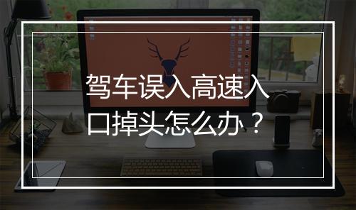 驾车误入高速入口掉头怎么办？