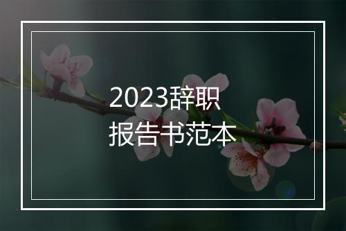 2023辞职报告书范本