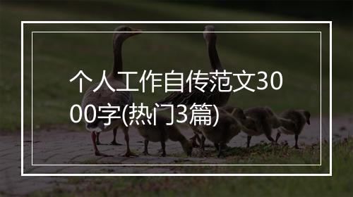个人工作自传范文3000字(热门3篇)
