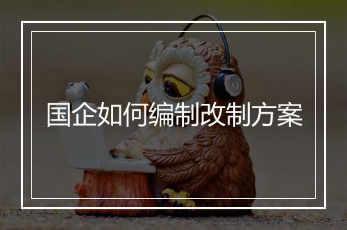 国企如何编制改制方案