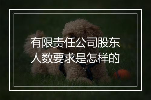有限责任公司股东人数要求是怎样的