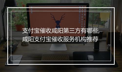 支付宝催收咸阳第三方有哪些,咸阳支付宝催收服务机构推荐