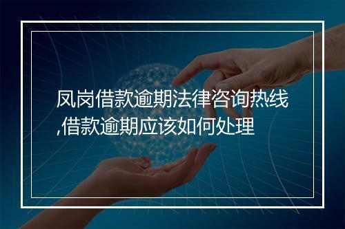 凤岗借款逾期法律咨询热线,借款逾期应该如何处理