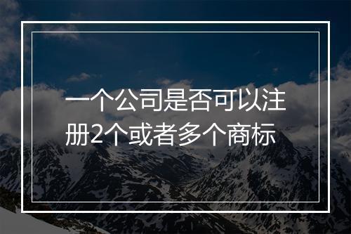 一个公司是否可以注册2个或者多个商标