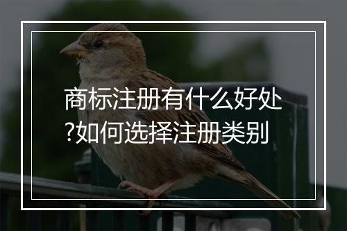 商标注册有什么好处?如何选择注册类别
