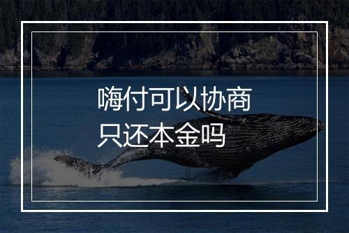 嗨付可以协商只还本金吗