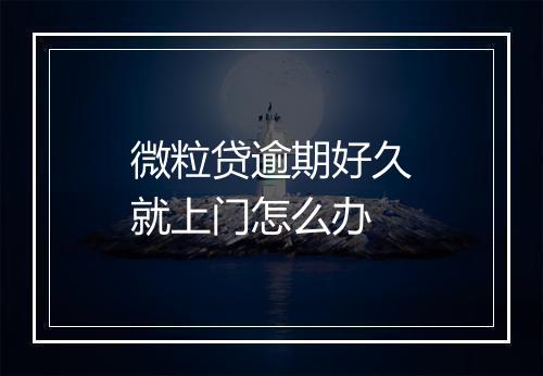 微粒贷逾期好久就上门怎么办