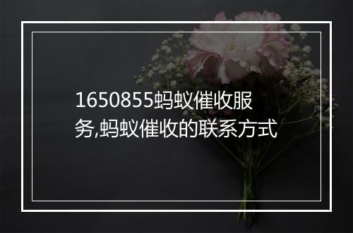 1650855蚂蚁催收服务,蚂蚁催收的联系方式