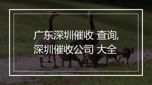 广东深圳催收 查询,深圳催收公司 大全