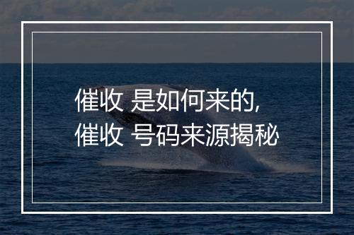 催收 是如何来的,催收 号码来源揭秘