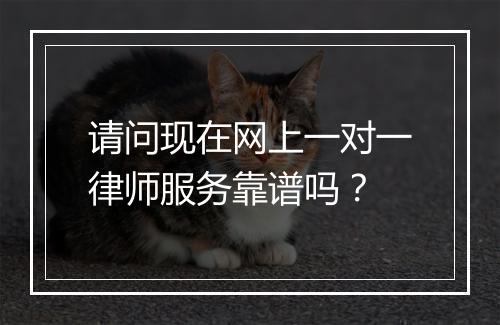 请问现在网上一对一律师服务靠谱吗？