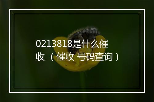 0213818是什么催收 （催收 号码查询）
