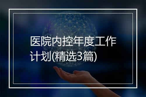 医院内控年度工作计划(精选3篇)