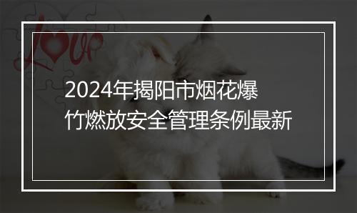 2024年揭阳市烟花爆竹燃放安全管理条例最新