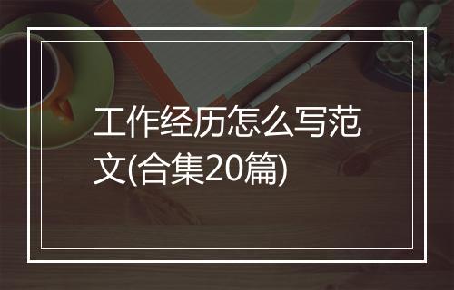 工作经历怎么写范文(合集20篇)