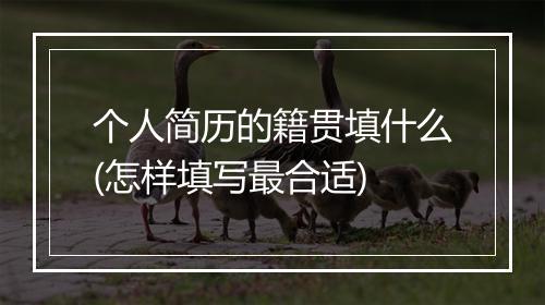 个人简历的籍贯填什么(怎样填写最合适)