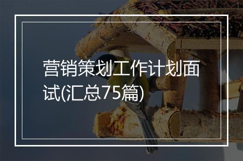 营销策划工作计划面试(汇总75篇)