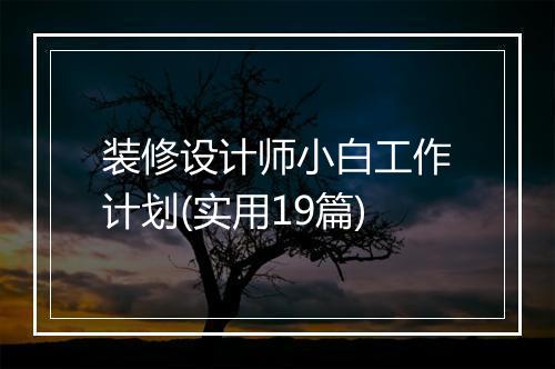 装修设计师小白工作计划(实用19篇)