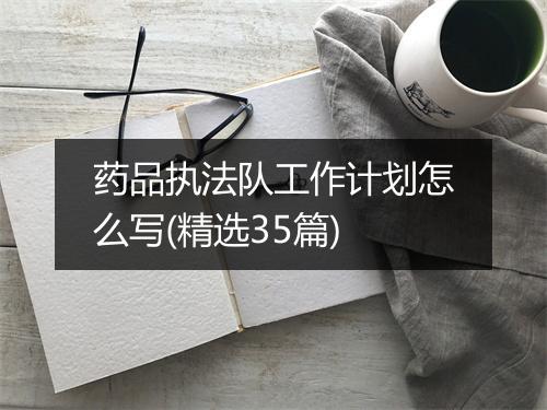 药品执法队工作计划怎么写(精选35篇)