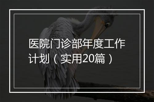 医院门诊部年度工作计划（实用20篇）