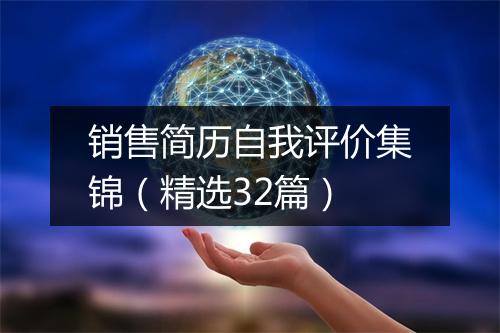 销售简历自我评价集锦（精选32篇）