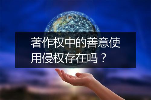 著作权中的善意使用侵权存在吗？