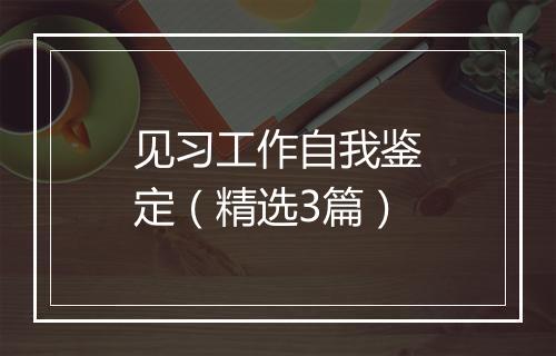 见习工作自我鉴定（精选3篇）