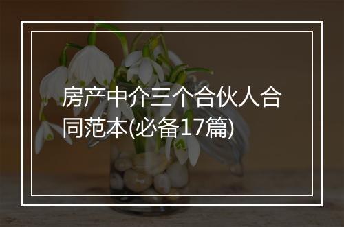房产中介三个合伙人合同范本(必备17篇)