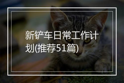 新铲车日常工作计划(推荐51篇)