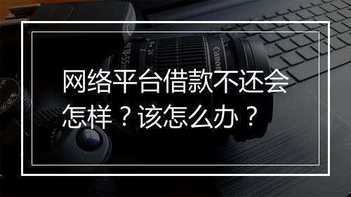 网络平台借款不还会怎样？该怎么办？