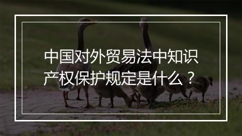 中国对外贸易法中知识产权保护规定是什么？