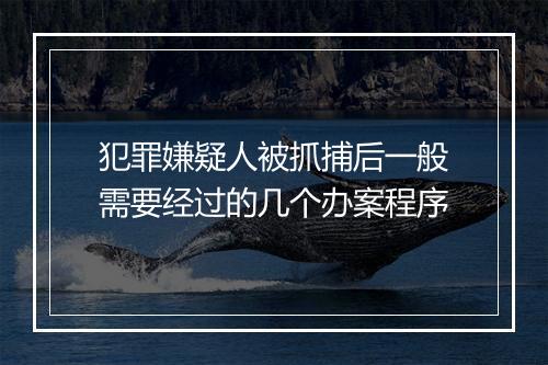 犯罪嫌疑人被抓捕后一般需要经过的几个办案程序